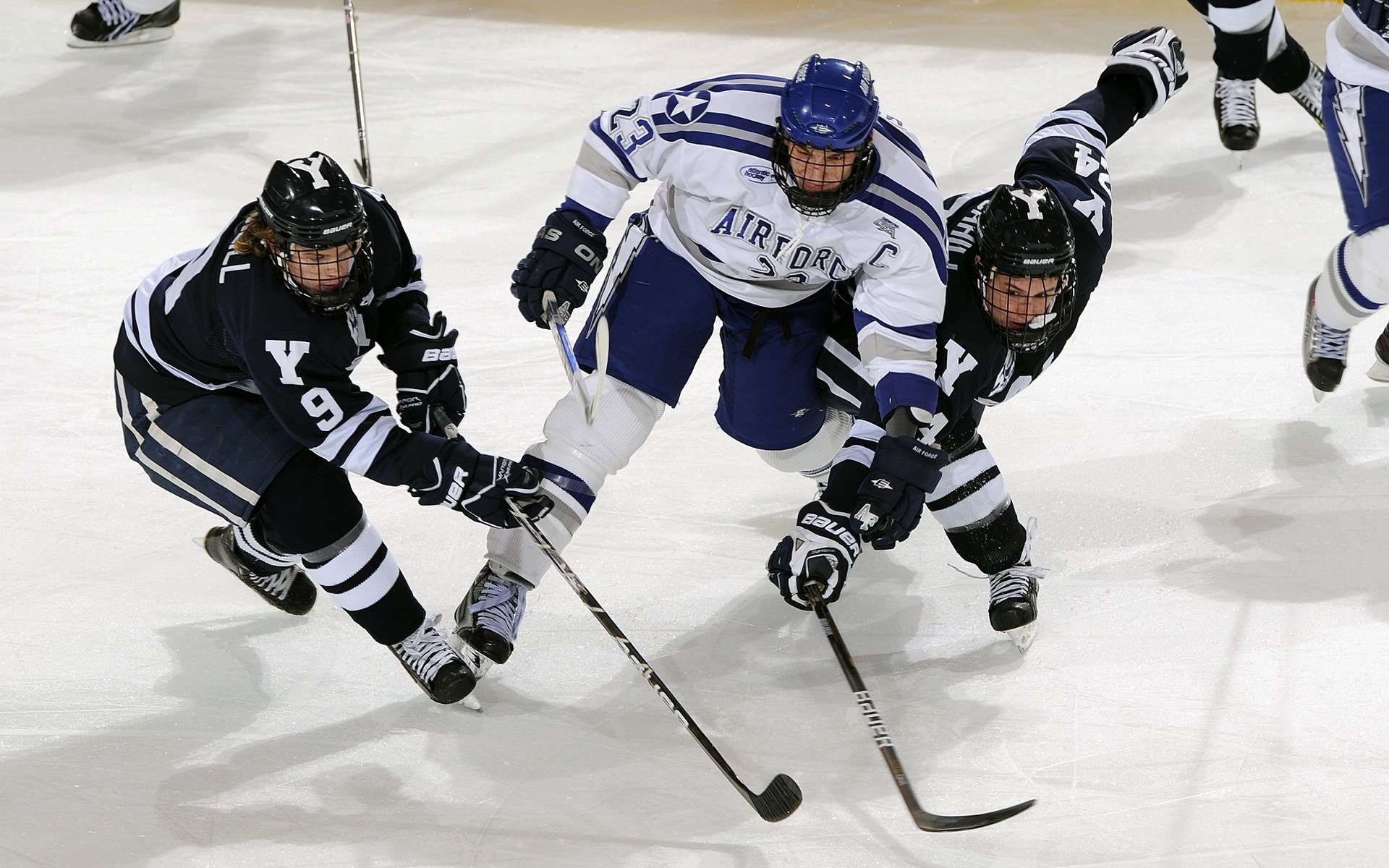 排球赛场焦点！荷兰队对阵澳大利亚队，年轻新星表现惊艳，未来可期