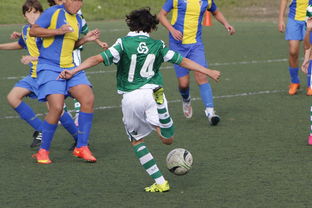 9游app下载 -Scout爆冷击败西班牙队，逆转引爆全场！